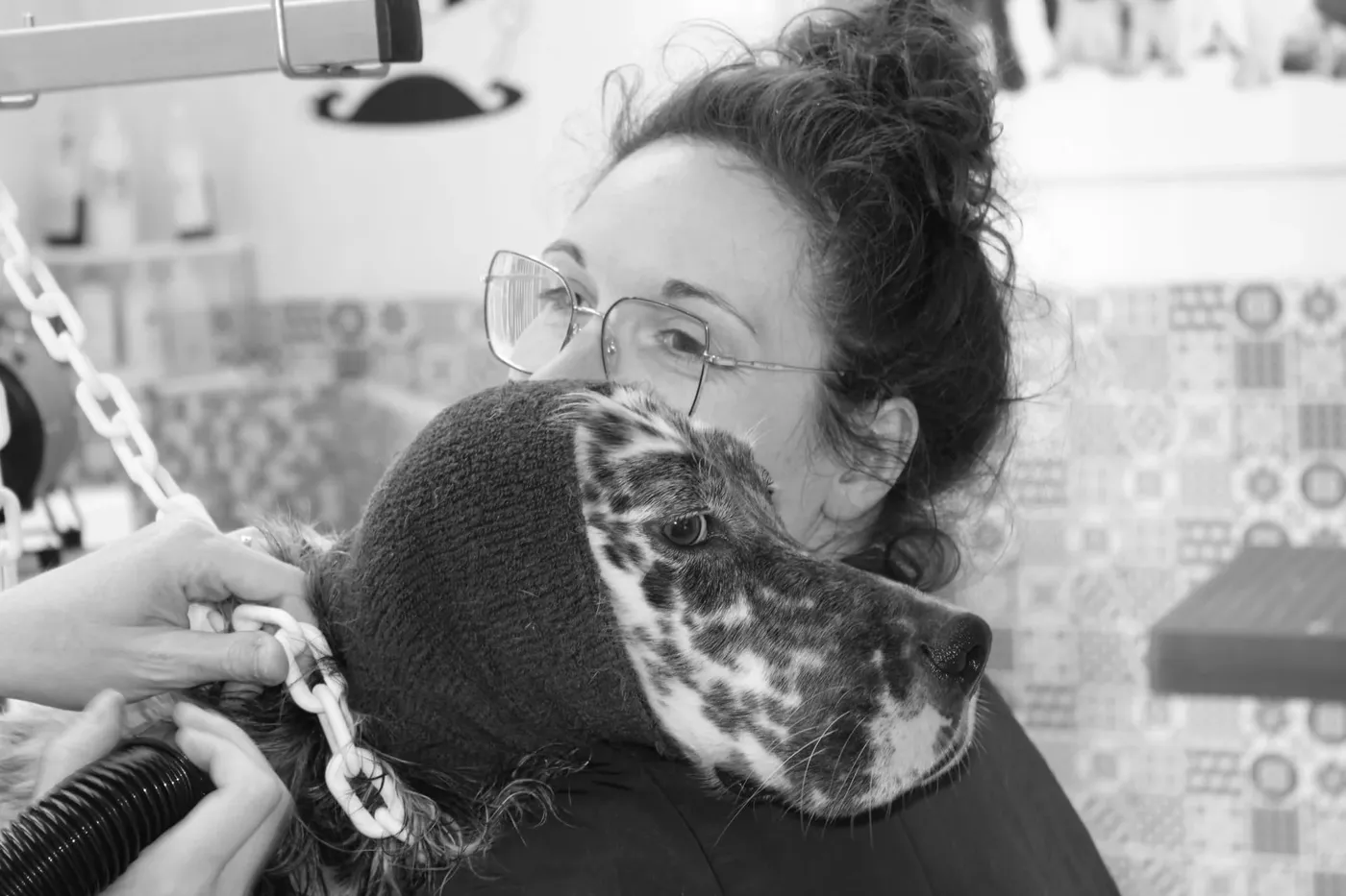 Laurane Botton séchant délicatement un épagneul pendant un toilettage