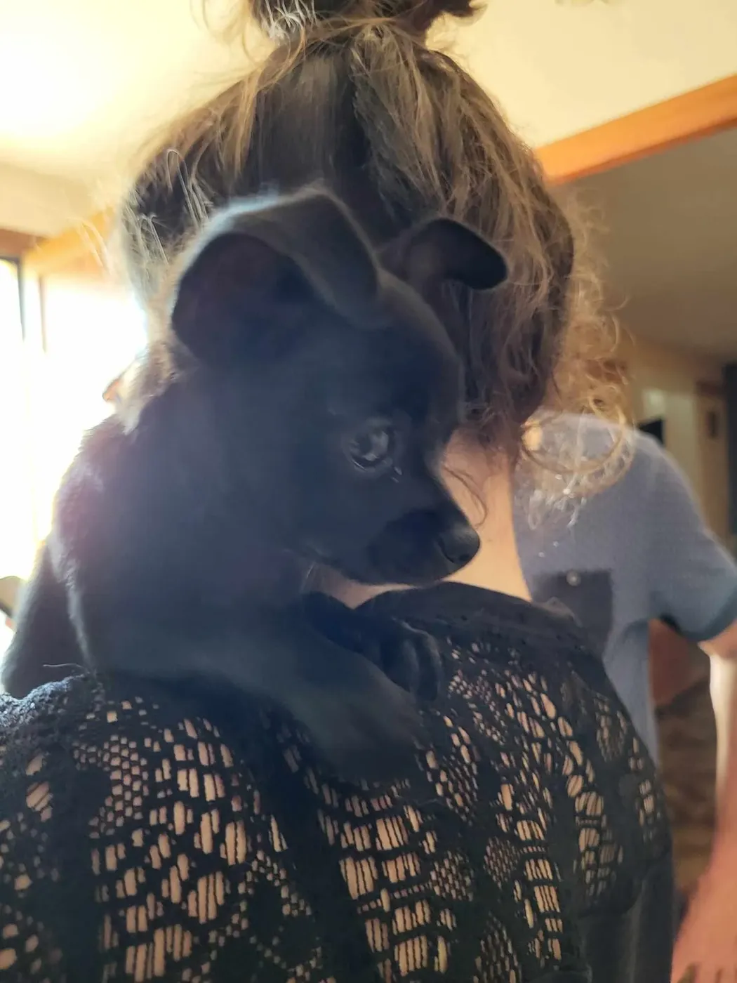 Laurane Botton, toiletteuse, avec un petit chien noir sur l'épaule